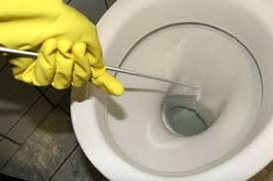 Débouchage de WC avec un furet
