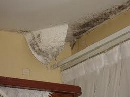 Traces d'humidité au niveau du plafond